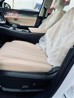 بي واي دي ‎سونغ برو DM-i